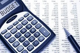 Budget questions needed!