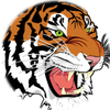 Small_4d1e0329-b829-496f-86f4-9b4165c70036