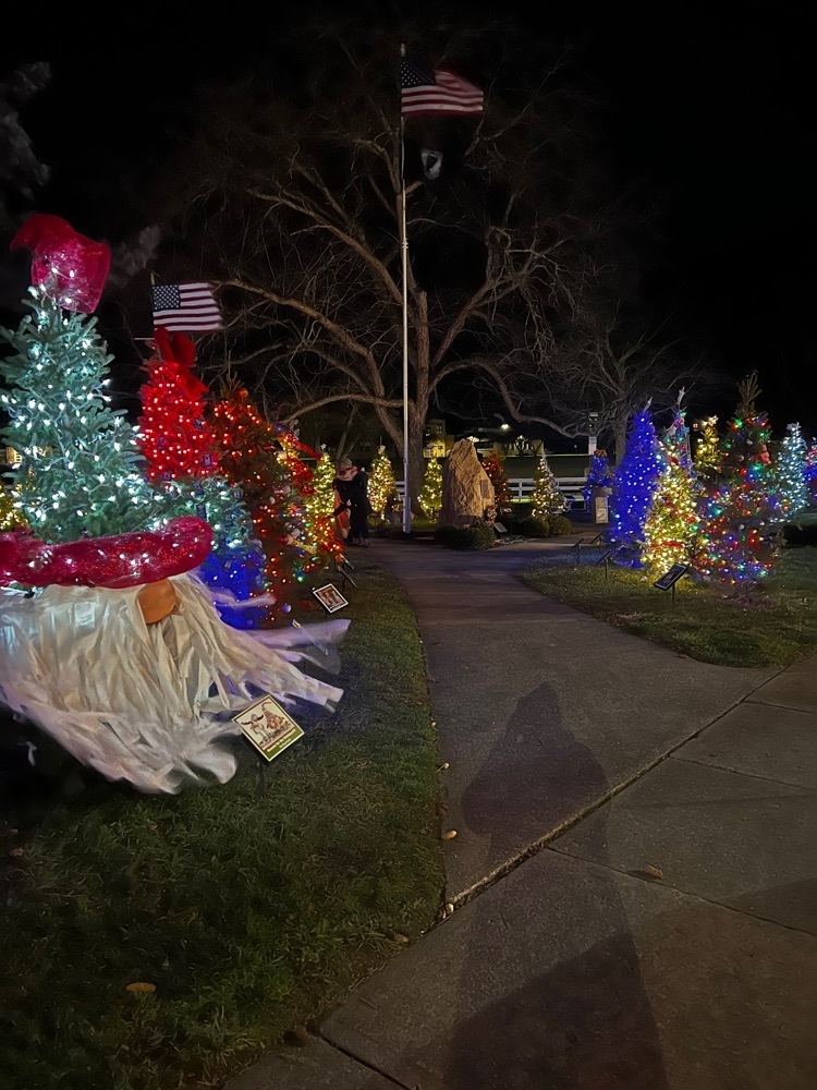 A spectacular night to kick off Christmas in the Village of Lyndonville 