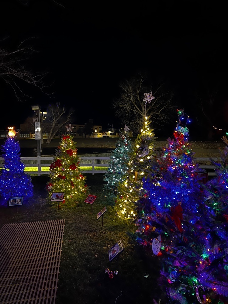 Lyndonville Christmas Tree lighting
