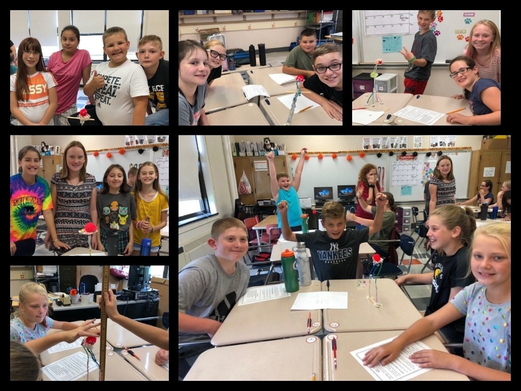 Lyndonville Central School District