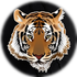 Lyndonville CSD