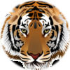 Lyndonville Central