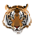 Lyndonville Central School